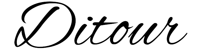 Ditour Malaysia Inspiration Travel Platform